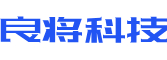 道真软件开发公司
